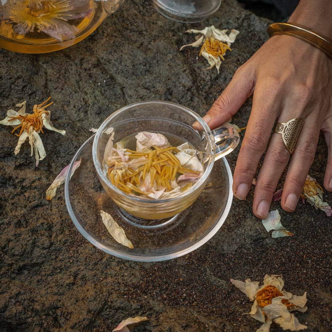 White Lotus Flower