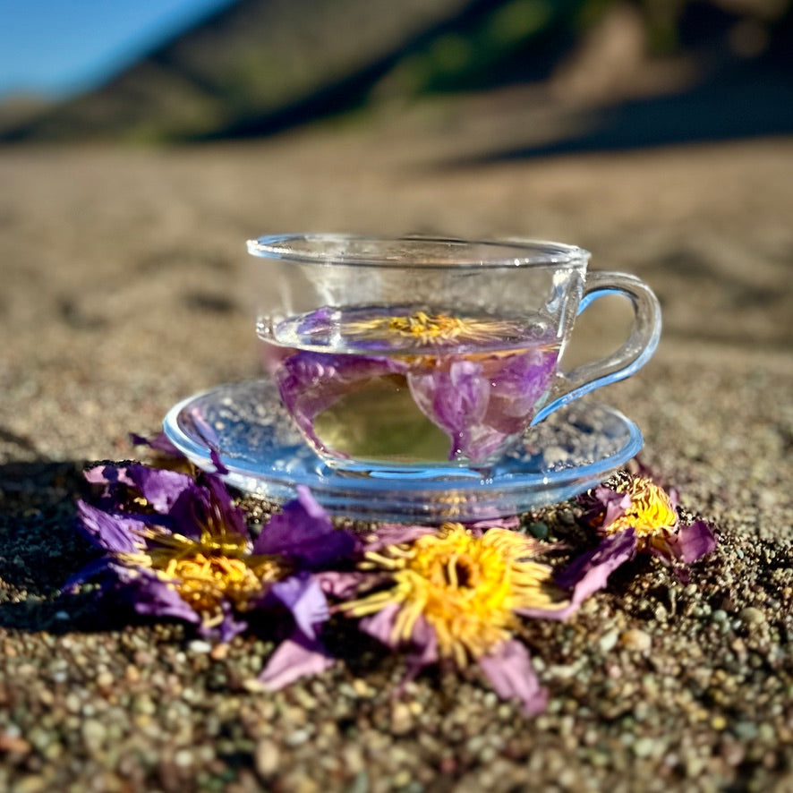 Nelumbi Blue Lotus Tea in Clear Cup